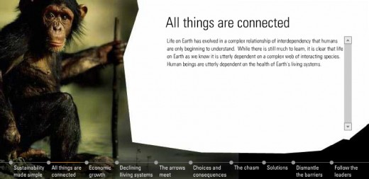 What is Sustainability? example image 1